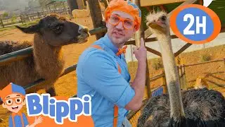 Blippi Becomes a Zookeeper for a Day! 🐎 Educational Animal Videos for Kids | After School Club