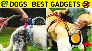 4 New Dog Gadgets You must Have / Gadgets for puppy and dogs