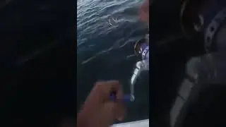 Touche en direct speed jigging