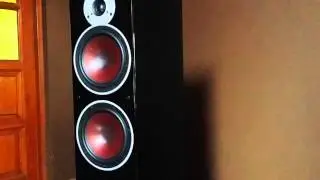 Dali zensor 7