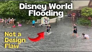 Why Disney World Keeps Flooding and the Civil Engineering Behind It