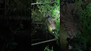 A short video about my herping tour in southern Vietnam. Conctact to me via WhatsApp (+84) 904424210