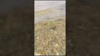 #байкал Байкал Горячинск июль