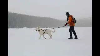 Glacier National Park in the Winter