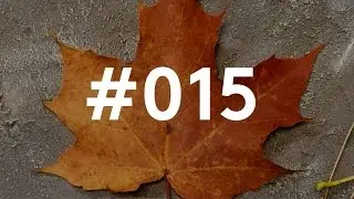 Stop Motion #015