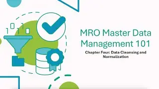 MRO Master Data Management: Chapter 4, Data Cleansing and Normalization