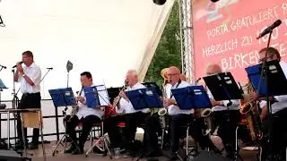 Birkenstein