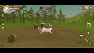 Wildcraft part 35 Lion Athena Quest Defeat Old Wolf