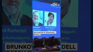 Nobel Prize In Medicine 2025 | Nobel Prize 2025: Three Scientists Share Physiology Or Medicine Award