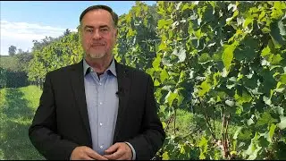 Dr Michael Reuther - Erfolgreicher Wein verkaufen f&uuml;r einzigartige, echte & enkeltaugliche Weing&uuml;ter