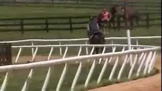 Warren Bluffet Gallop at Merryland Farm April 30, 2010.MOD