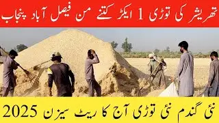 What's the New Wheat  Straw in Faisalabad Punjab Pakistan 2025