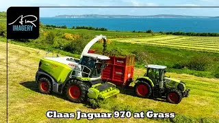 Claas Jaguar 970 | North Coast Silage with Claas Tractors & Herron Trailers