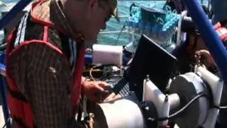 Navy Sonar and Marine Mammal Protection Measures