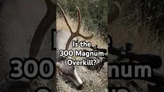 Is the 300 Magnum Overkill? #huntingrifles #deerhunting #hunting