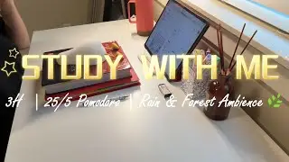 Study With Me 3 Hours | 25/5 Pomodoro | Rain & Forest Ambience | Calm Focus