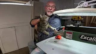 Introducing Mama cat