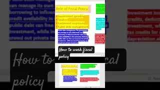 What is the role of fiscal policy in a developing country?