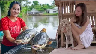 Green Life: Restoring the Farm After Heavy Rain & Harvesting Fish in the Swamp to Sell at the Market