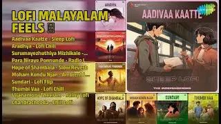 Loഫി മെലഡീസ് 2023-2025 ✨ | S. Janaki Songs | Aadivaa Kaatte  Sleep Lofi | Aradhya  Lofi Chill