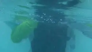 Evan Underwater