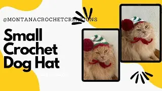 Small Crochet Dog hat / Crochet Cat Hat / Crochet Elf Hat