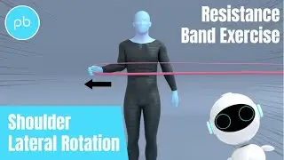 Shoulder External Rotation with a Resistance Band Exercise | Stronger Rotator Cuff Muscles
