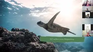 Social Media & the Environment