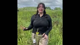 Ханна Дьюк - Prairie Restorations and Wellness