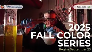 2025 Fall Color Series