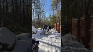 MVPs right here ! #work #snow #discgolf #youtubeshorts #subscribe #like #follow #friends #fun #music