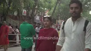 Urban Devotion: Durga Puja at Kali Bari Temple New Delhi 2025