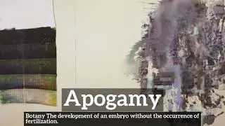 How Does Apogamy Look? | How to Say Apogamy in English? | What is Apogamy?