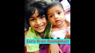 Early Brain Development