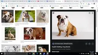 Topic 1 - Introduction To Sea Monkey Web Editor