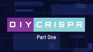 How to DIY a HiBiT CRISPR - Part 1