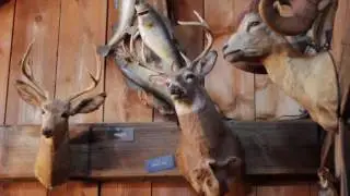 Nick's Pizza & Pub  The Story of The Wild Boar HD