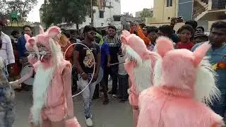 Sher dance of bilaspur