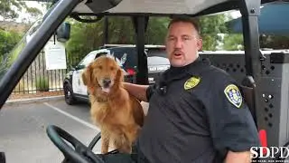 San Diego Police Foundation helps Mobile Odor Dogs