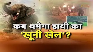 Jharkhand Elephant Attack :जंगली हाथी बना सीरियल किलर, 17 लोगों की कुचलकर ली जान