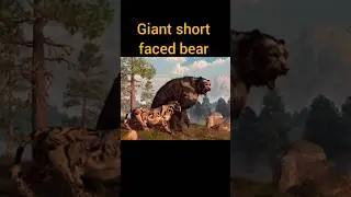 Top 5 deadliast ice age animals