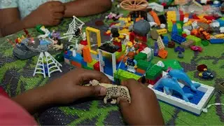 The Science Film Festival Family Day Virtual Experience 2024