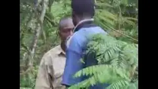 Elephant collaring in Cameroon, Africa