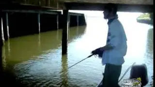 snookproteam.com - muitos peixes que n&atilde;o entraram em edi&ccedil;&otilde;es passadas