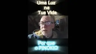 Pinokio Instale tudo local com 1click