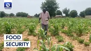 Farmers Lament Fuel, Fertilizer Price Hike In The Northwest