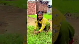 Gaon #ki #video #Achi ￼￼