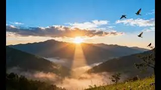 Hidden Sunshine 