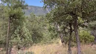 NEW AUCTION PROPERTY! LOT 157 PORTAL DR, PINE AZ~