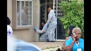 Famianan ta konvensí ku Alvin ta na bida i mester keda persiguí pa asesinato